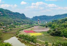 清溪谷旅游区-花田酒地景区景点图片