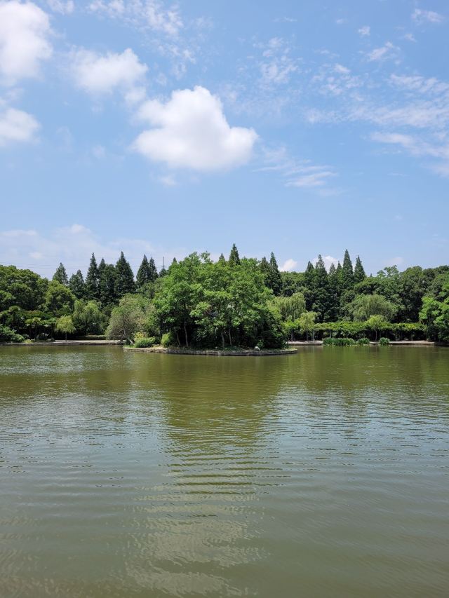 杨浦公园旅行图片 14