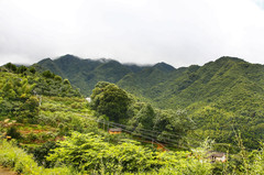 梅州游记图片] 到梅县梅南镇悬崖下的黄礤沟探险溯溪、观瀑布，享受清凉一夏