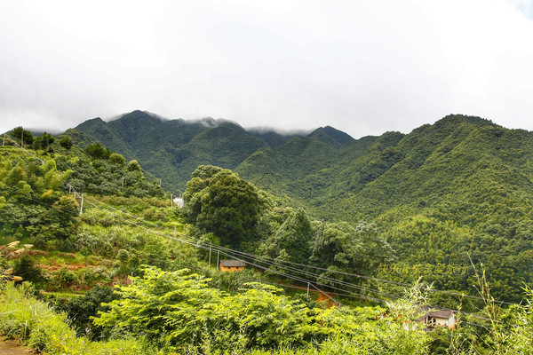 到梅县梅南镇悬崖下的黄礤沟探险溯溪、观瀑布,享受清凉一夏