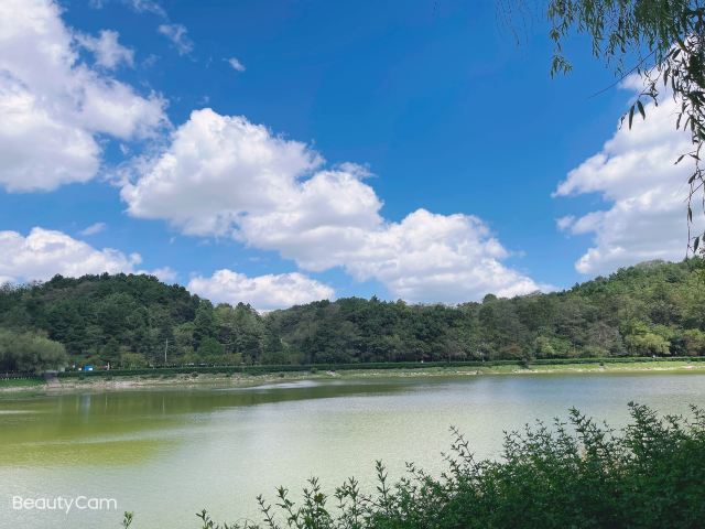 长坡岭国家森林公园旅行图片 1