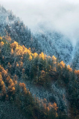 最后3天！快来阿坝州这座小城，享雪山红叶之旅正巴适！