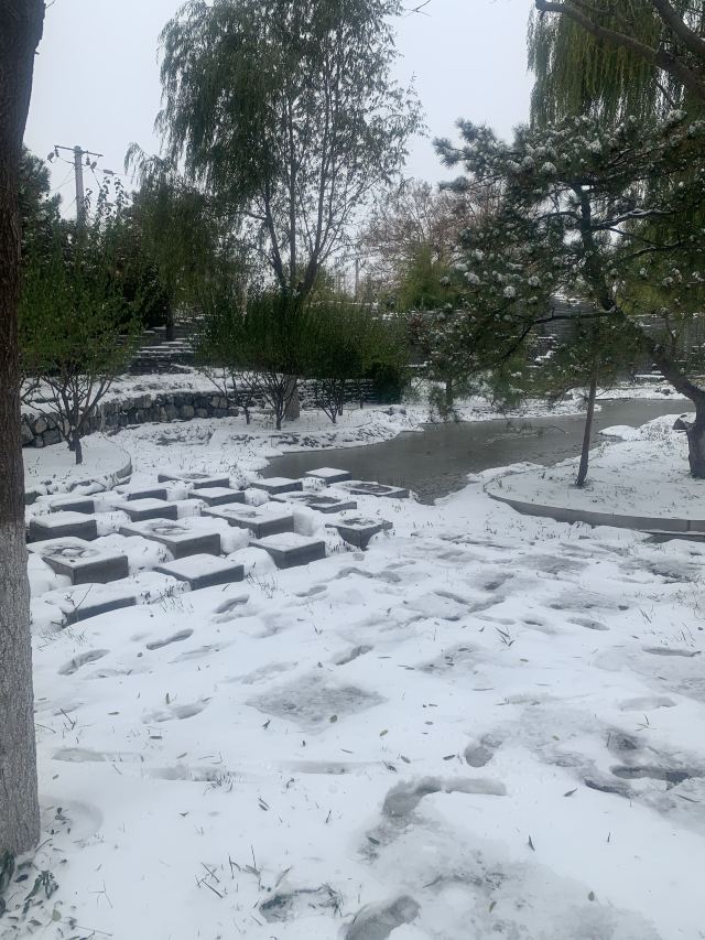 庆丰公园旅行图片 5