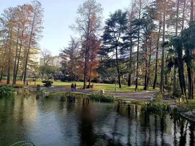 东安公园旅行图片 3