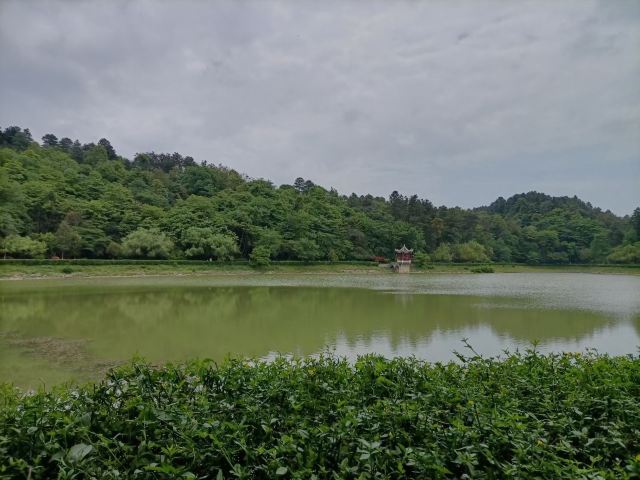 长坡岭国家森林公园旅行图片 1