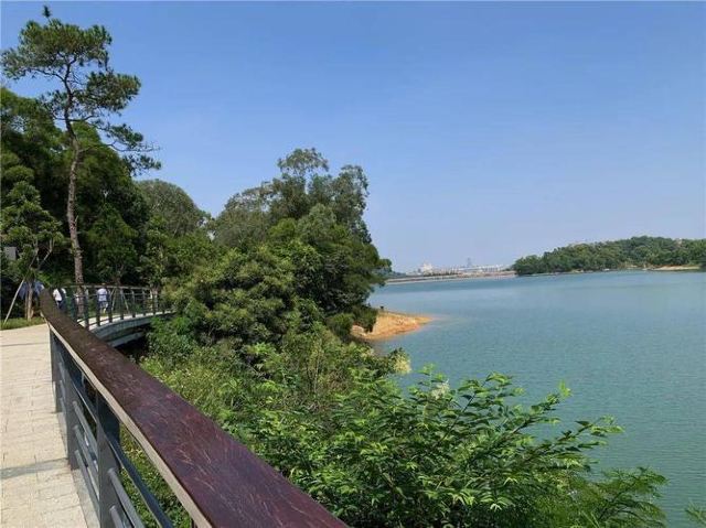 金钟水库旅行图片 3
