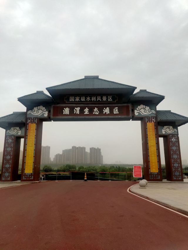 灞渭生态滩区旅行图片 15