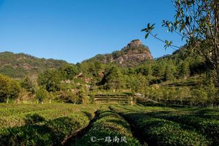 福建武夷山隐藏一个秘境，山清水秀让人着迷，正谷溪香就出自这里