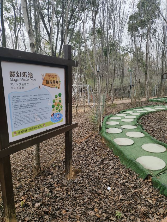 咸宁松鼠部落森林假日公园旅行图片 3