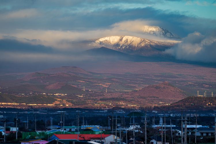 Jeju Island Brief Guide