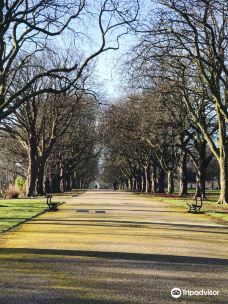 Albert Park-米德尔斯堡