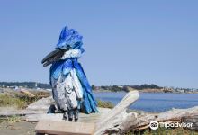 Esquimalt Lagoon Migratory Bird Sanctuary景点图片