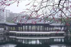 天一阁·月湖景区-宁波