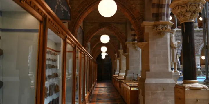 皮特·裏弗斯博物館