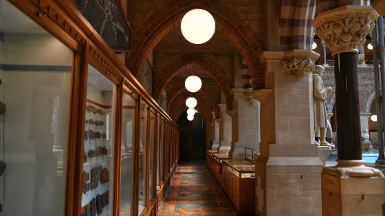 皮特·裏弗斯博物館