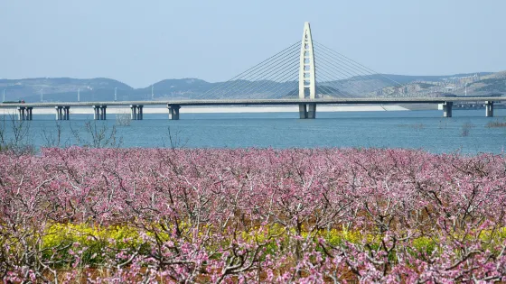 滕州市羊莊鎮莊裡水庫大壩觀景台