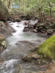 野趣沟-河源-YoYo_6E9F5R8L