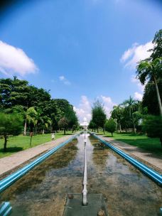 维哈马哈德维公园-科伦坡-支付宝岛