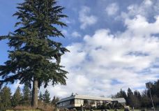 本那比山公园-本那比-小小呆60