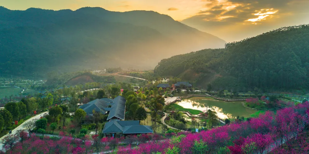 永安旅遊