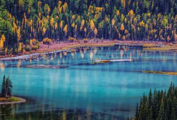 新疆阿勒泰地区喀纳斯/可可托海/禾木/白哈巴/五彩滩一日游。【1-6人小包团，专业的司机兼向导，服务至上！】