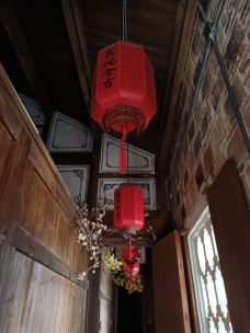 万载古城-万载-大松树叶子