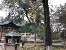 关陵-当阳-sh****8