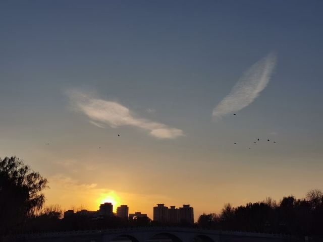 李家峡北岸生态园风景区旅行图片 1