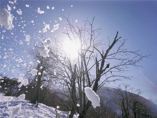 蓉城冬日,别样的魅力,吃货耍家的天堂