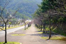 八重岳樱之森公园-本部町-翱翔的大鲨鱼