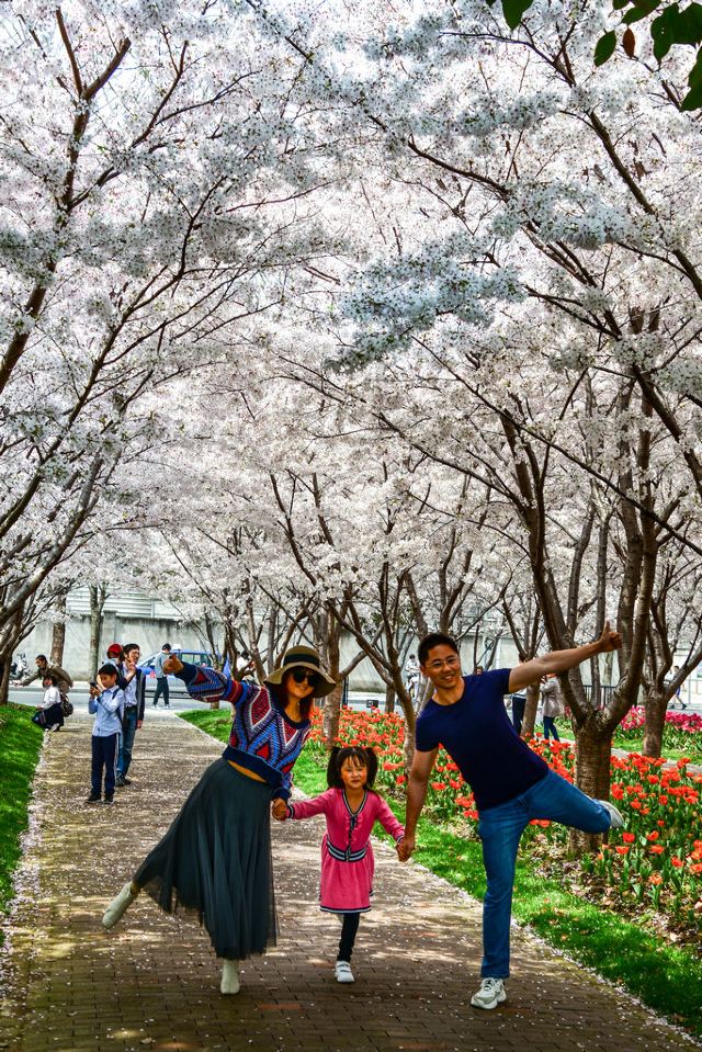 琴键春园旅行图片 6