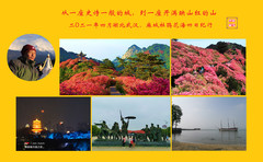湖北游记图片] “从一座诗一般的城，到一座开满映山红的山”，2021湖北四天纪行《武汉篇》。