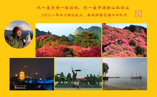 “从一座诗一般的城,到一座开满映山红的山”,2021湖北四天纪行《武汉篇》。