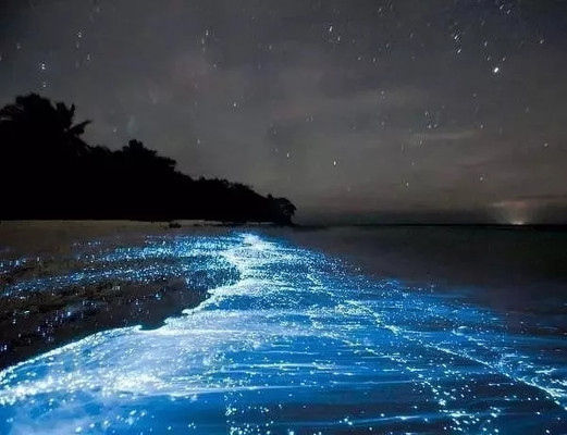 追泪----蓝眼泪