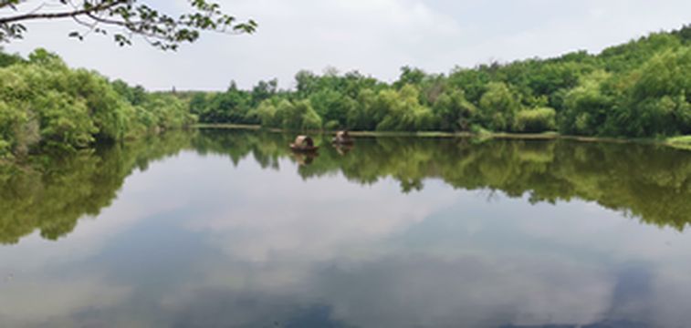 宿迁新沂三景游