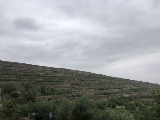关山森林公园旅行图片 12