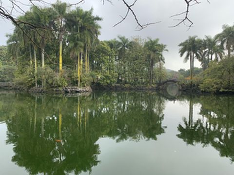 绿城南宁,低调的美食天堂