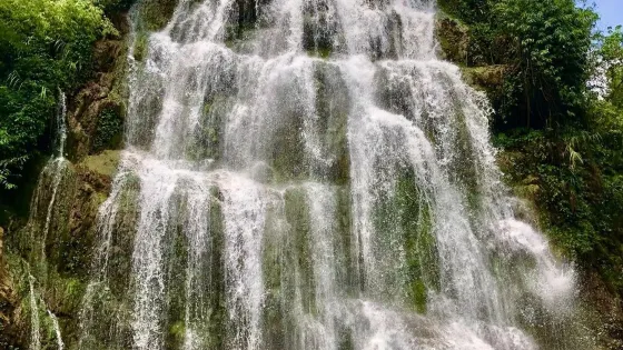 觀音山森林公園