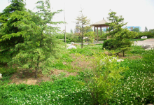 土马河湿地公园景点图片