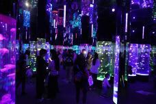 海滨城浩海立方海洋公园-成都-C-IMAGE