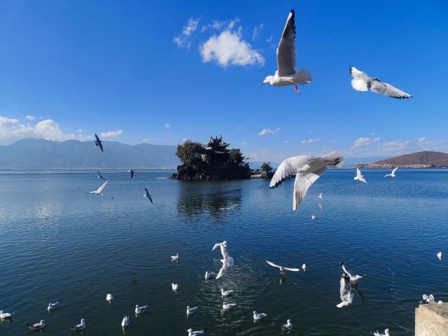 小普陀旅行图片 1