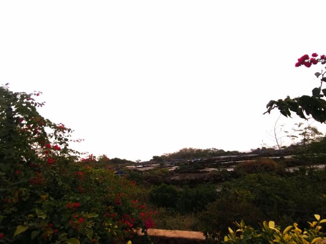 千年古盐田旅行图片 5
