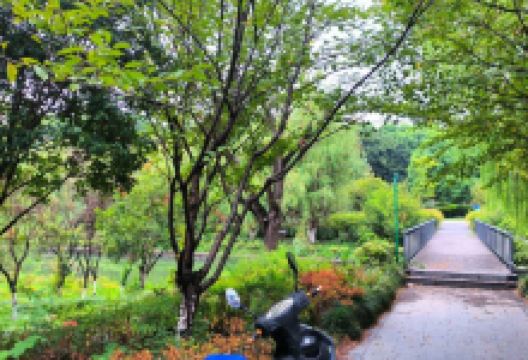 松下友好公园景点图片