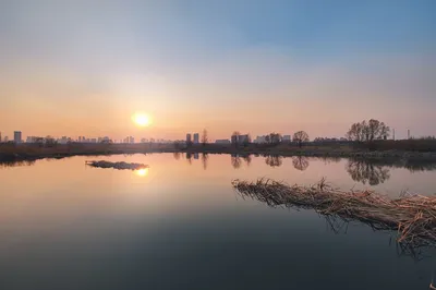 哈尔滨文化中心湿地公园