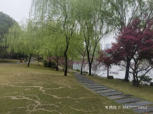 麻山双月湾湿地公园