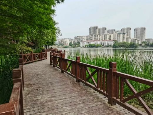 九龙湖公园