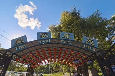 皇家鹿苑草食动物园