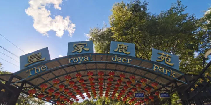 皇家鹿苑草食動物園