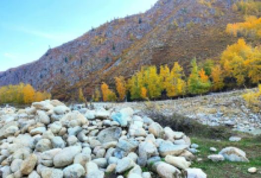 小东沟森林公园景点图片