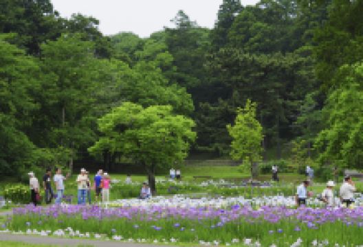 佐仓城址公园景点图片
